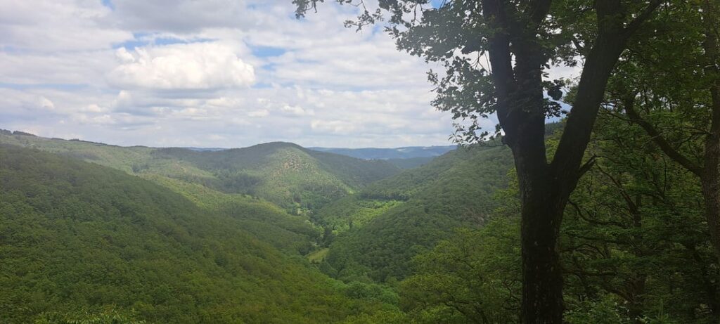 Prinzenkopf Viewpoint near Bingen am Rhein