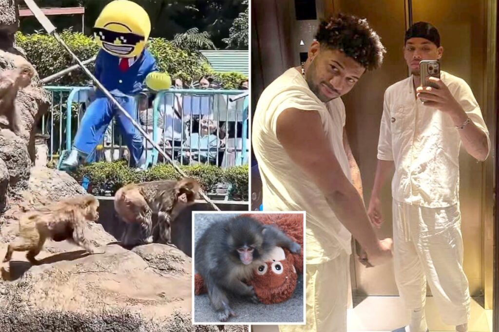 American tourists detained after breaking into Punch the Monkey's enclosure at Japan's Ichikawa City Zoo