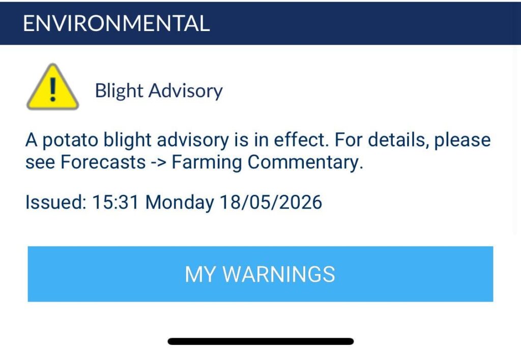 Lads, don’t panic, but it’s happening again