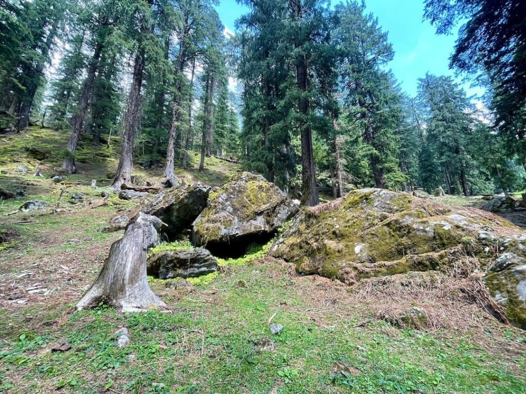 Kasheri village in Manali - Himalayas