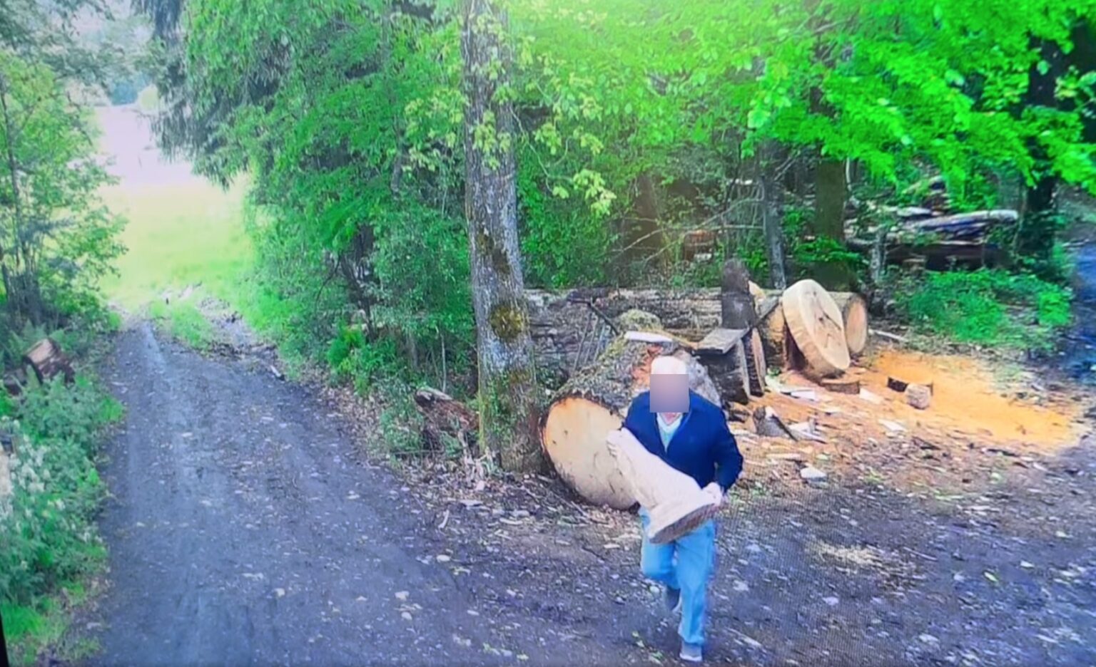 Wooden dog stolen: Artist files complaint after sculpture taken from northern Luxembourg studio Wooden dog stolen: Artist files complaint after sculpture taken from northern Luxembourg studio
