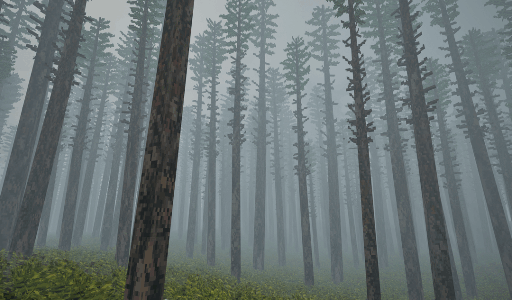 Pine tree, pine tree, let's play in the pine tree