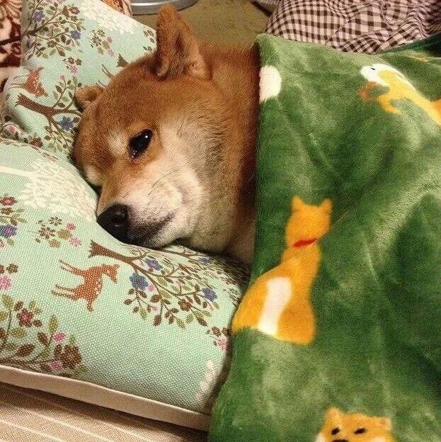 Good night 😴