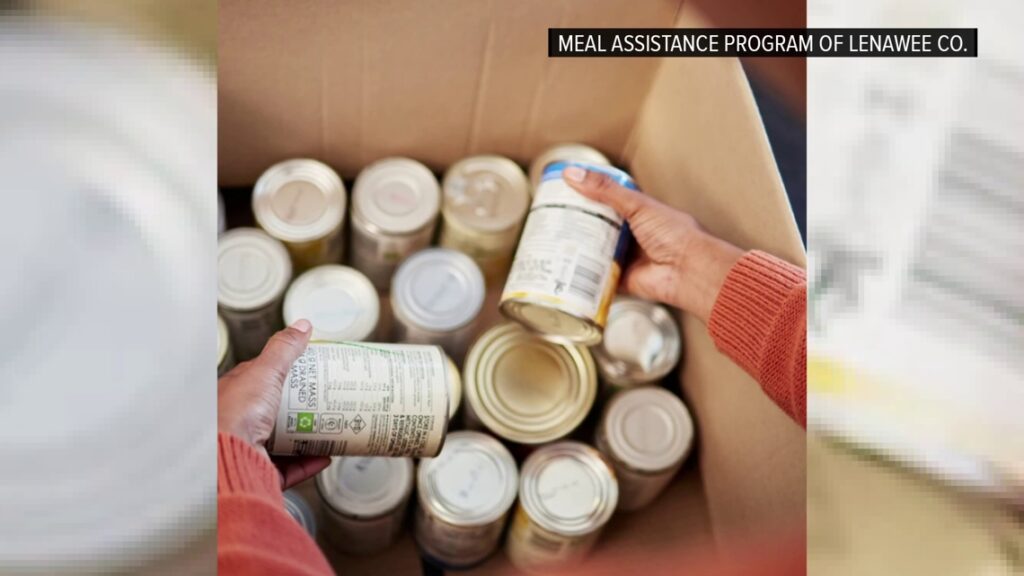 Innovative program in Lenawee County uses technology to reduce food insecurity barriers