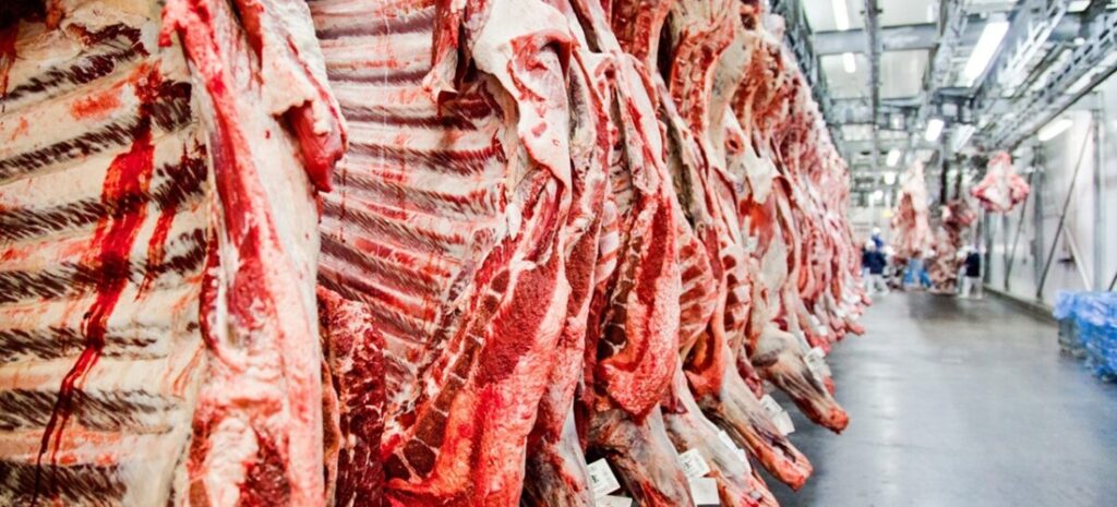 Antimicrobials: Why the EU barred Brazilian meat exports Antimicrobials: Why the EU barred Brazilian meat exports