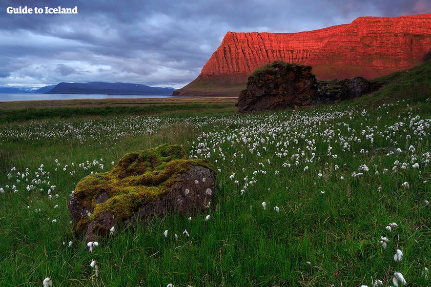 Red Midnight Sun glow on the mountains in Iceland's Westfjords Red Midnight Sun glow on the mountains in Iceland's Westfjords