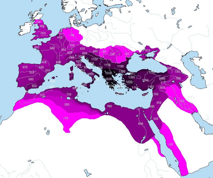 number of years territories were under occupation by Roman Empire