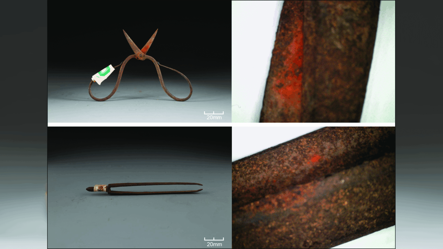 Chinese medical practitioners used extremely toxic plant as a topical anesthetic 600 years ago, study finds