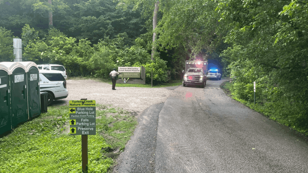Two children in critical condition after swept into falls at Pinson nature preserve station icon