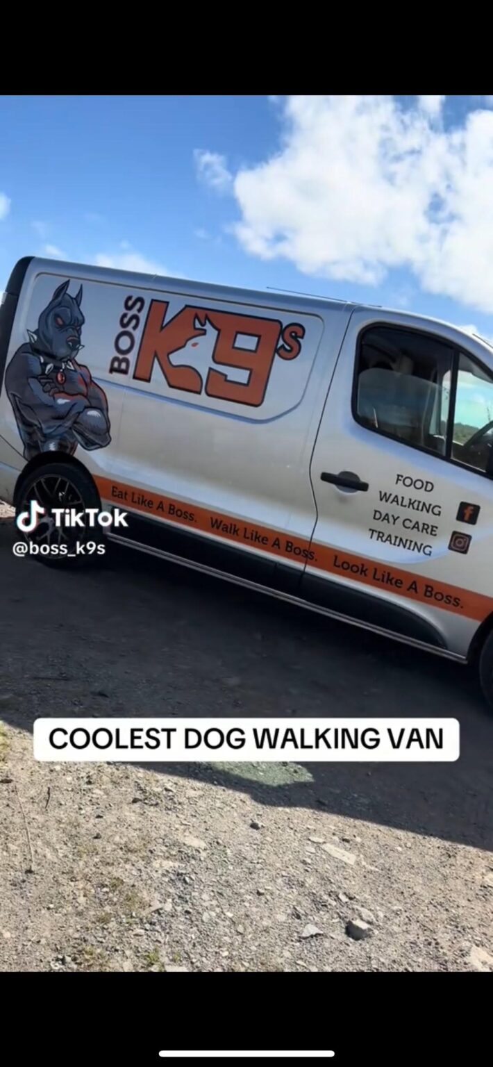 Dog walker /car washing