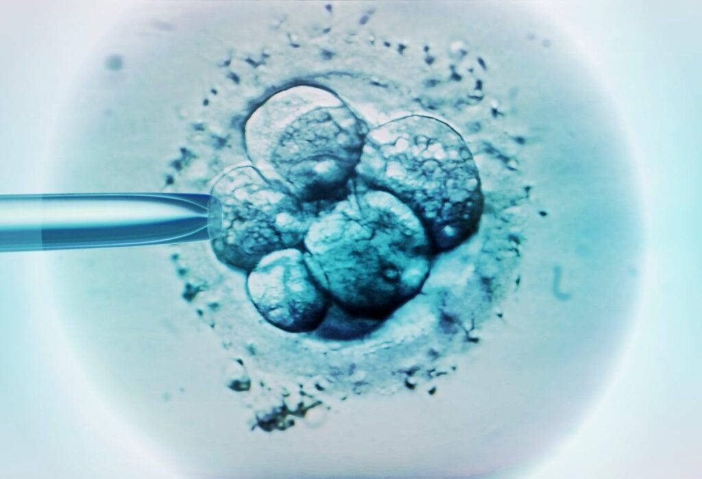China launched fake human embryos to its space station for a new research mission