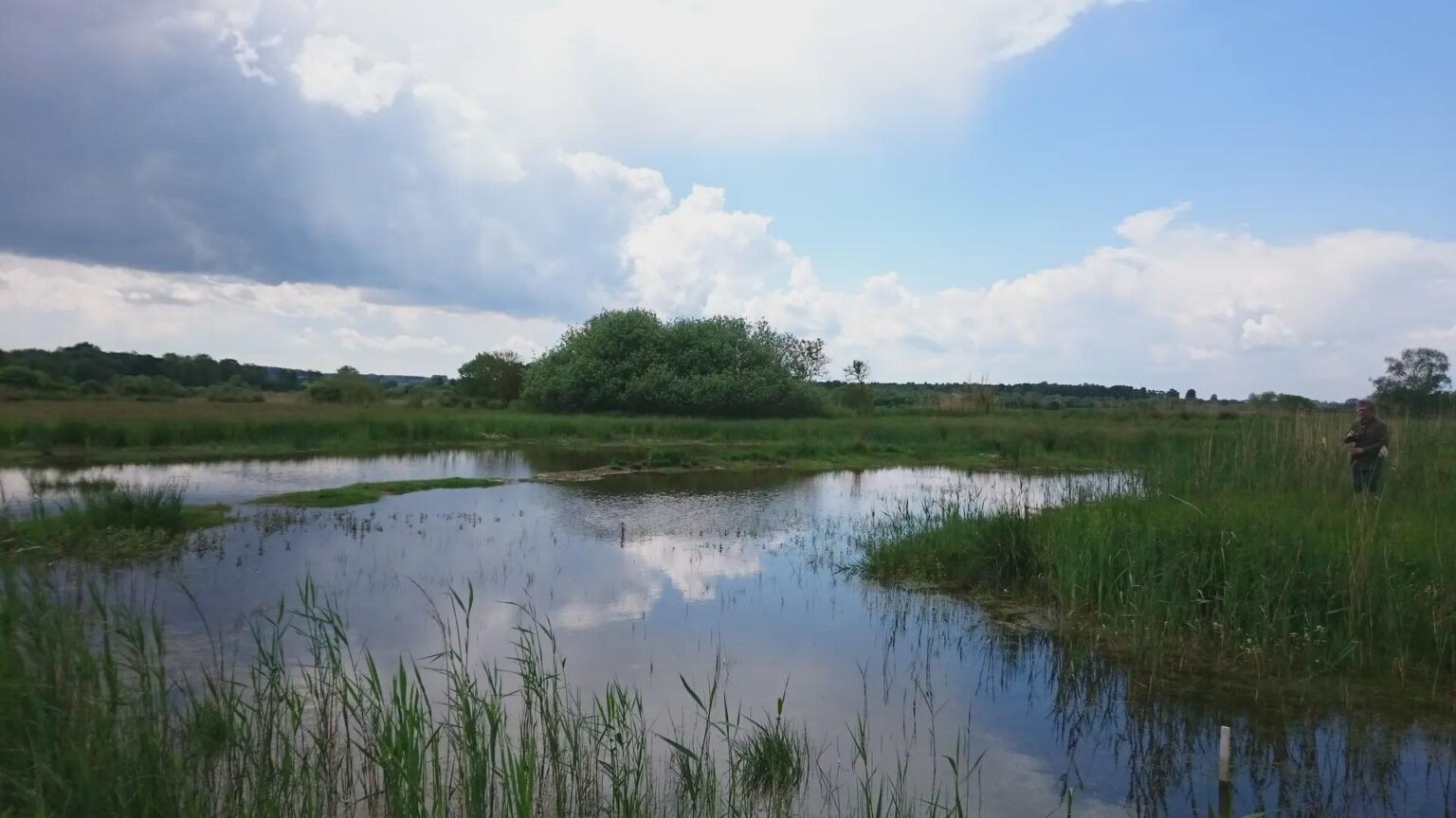 After criticism from the farmers' association: the state government of Mecklenburg-Western Pomerania is further weakening climate protection - drainage of moors is no longer a binding goal
