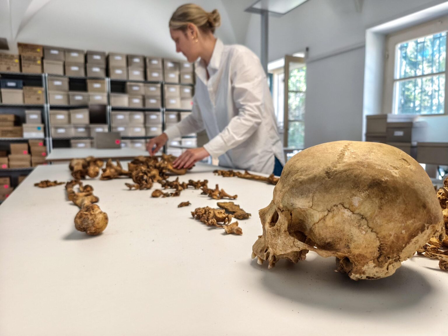 PHYS.Org - After Rome: Genomic insights from southern Germany reveal the formation of Central European societies