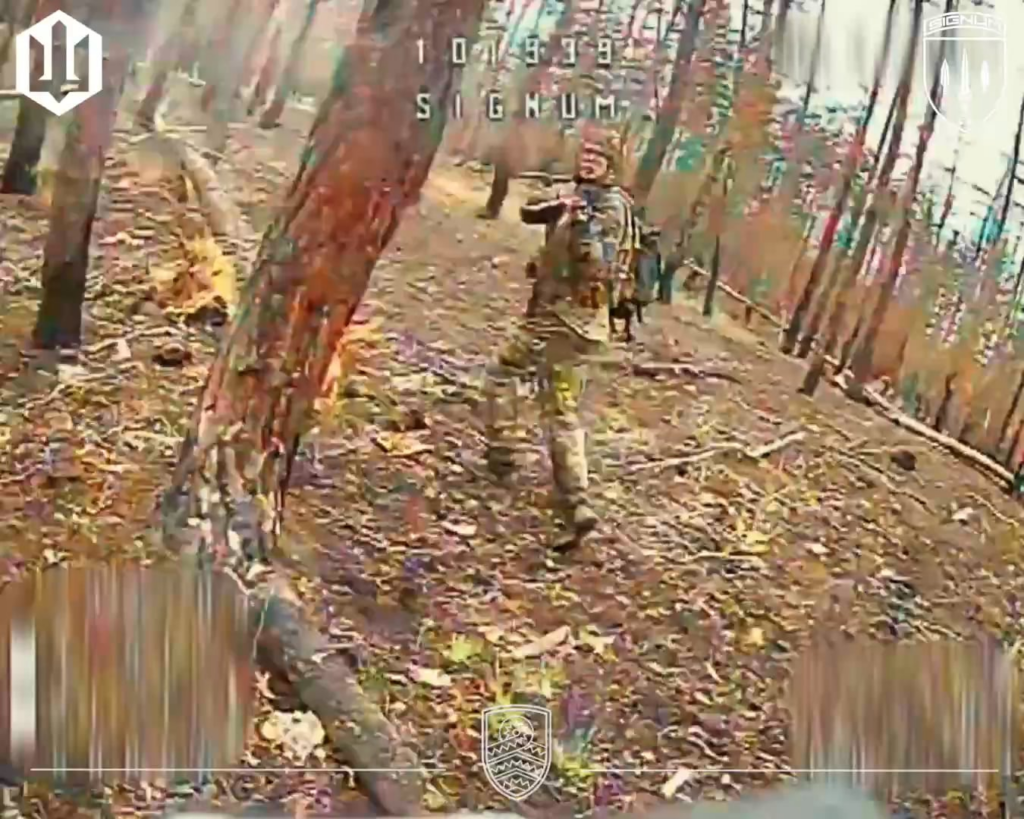 Ukraine's 59th Assault Brigade "Signum" carried out defensive strikes against Russian infantry occupying Lyman-area forests, demonstrating skilled FPV drone piloting. 05.24.2026