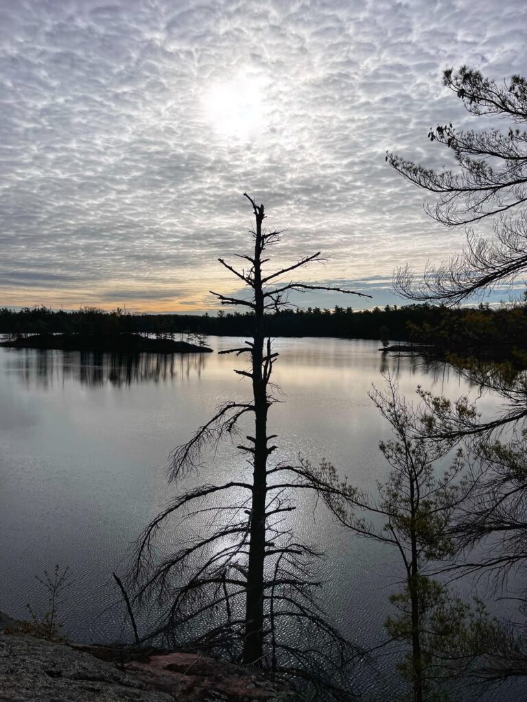 Since I first discovered Frontenac Provincial Park in 2021 I have hiked 1,030km along its trails and backcountry, love this place