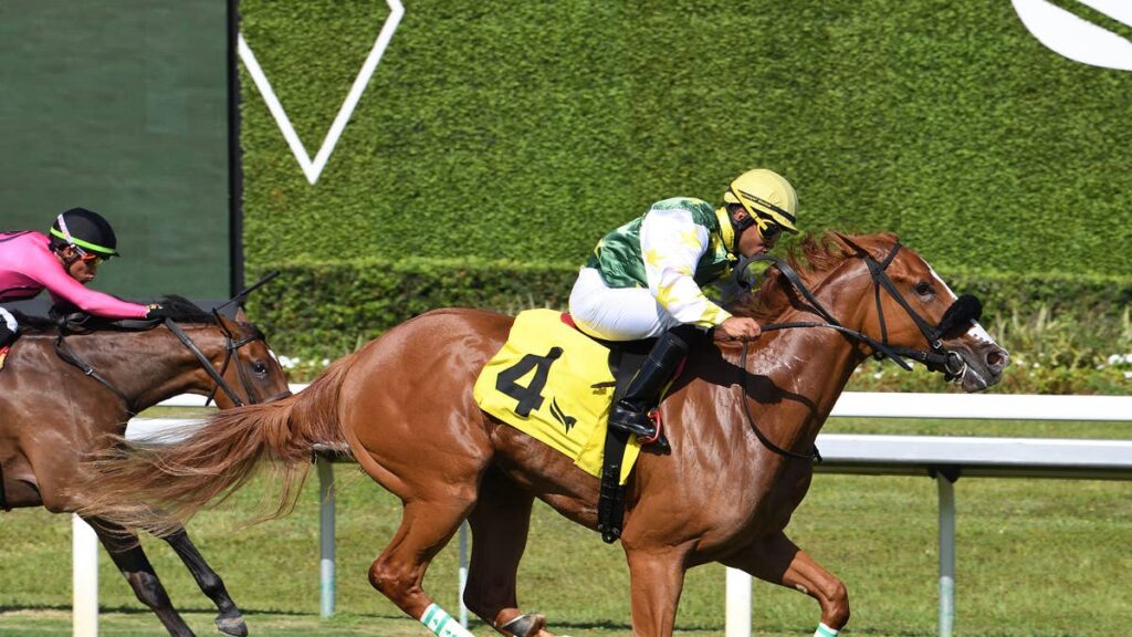Liberty Rings Makes All In Royal Palm Juvenile Fillies Liberty Rings Makes All In Royal Palm Juvenile Fillies