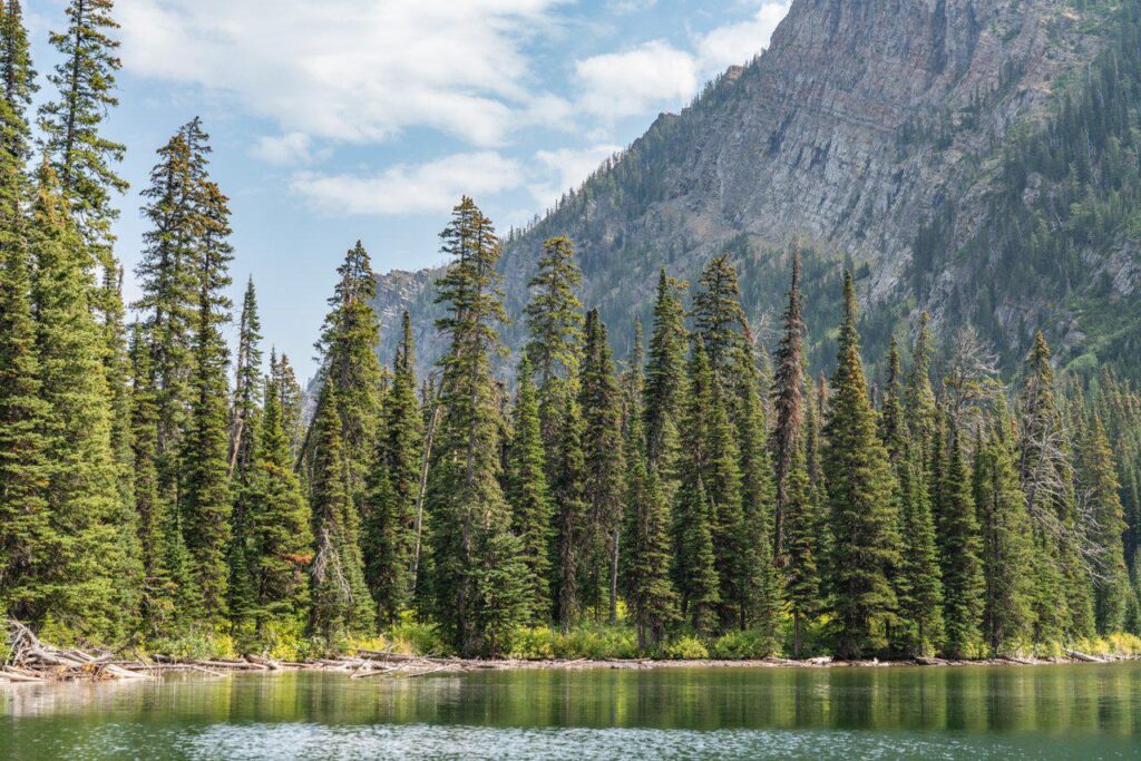 Mountains, forest, and lake... A wonderful setting.
