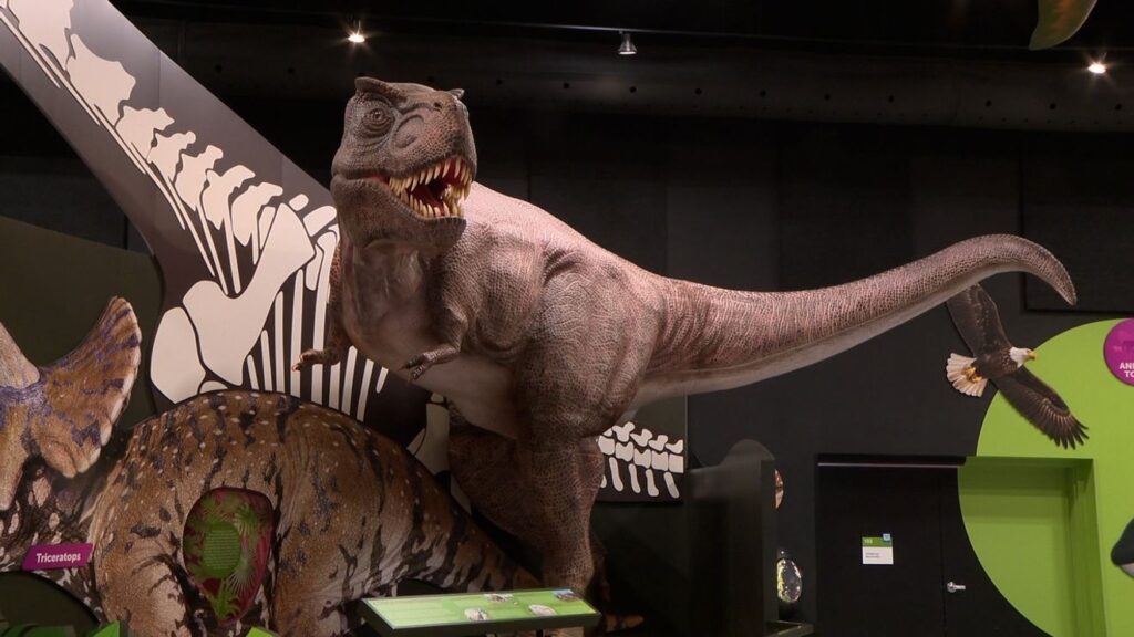 Spark Science Center ignites curiosity with interactive exhibits and hands-on fun station icon