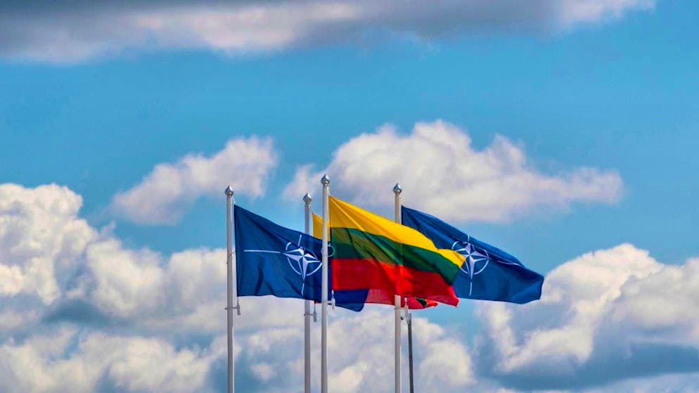 ARCHIVE - Flags of NATO member states wave in the wind in front of the NATO summit venue. Photo: Mindaugas Kulbis/AP/dpa