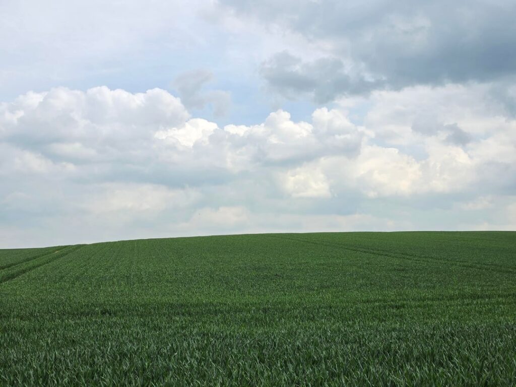 A small hike in Seehausen