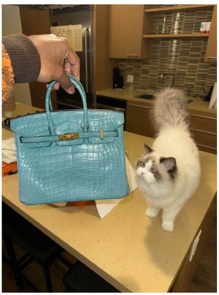 <em>One of the Hermès Birkin bags Ferro obtained for a co-conspirator's girlfriend - Source: <a href="https://www.justice.gov/usao-dc/pr/gothferrari-sentenced-78-months-prison-role-massive-cryptocurrency-heist" rel="nofollow noopener" target="_blank" data-ylk="slk:DOJ;elm:context_link;itc:0;sec:content-canvas" data-yga="{"yLinkElement":"context_link","yModuleName":"content-canvas","yLinkText":"DOJ"}" class="link ">DOJ </a></em>