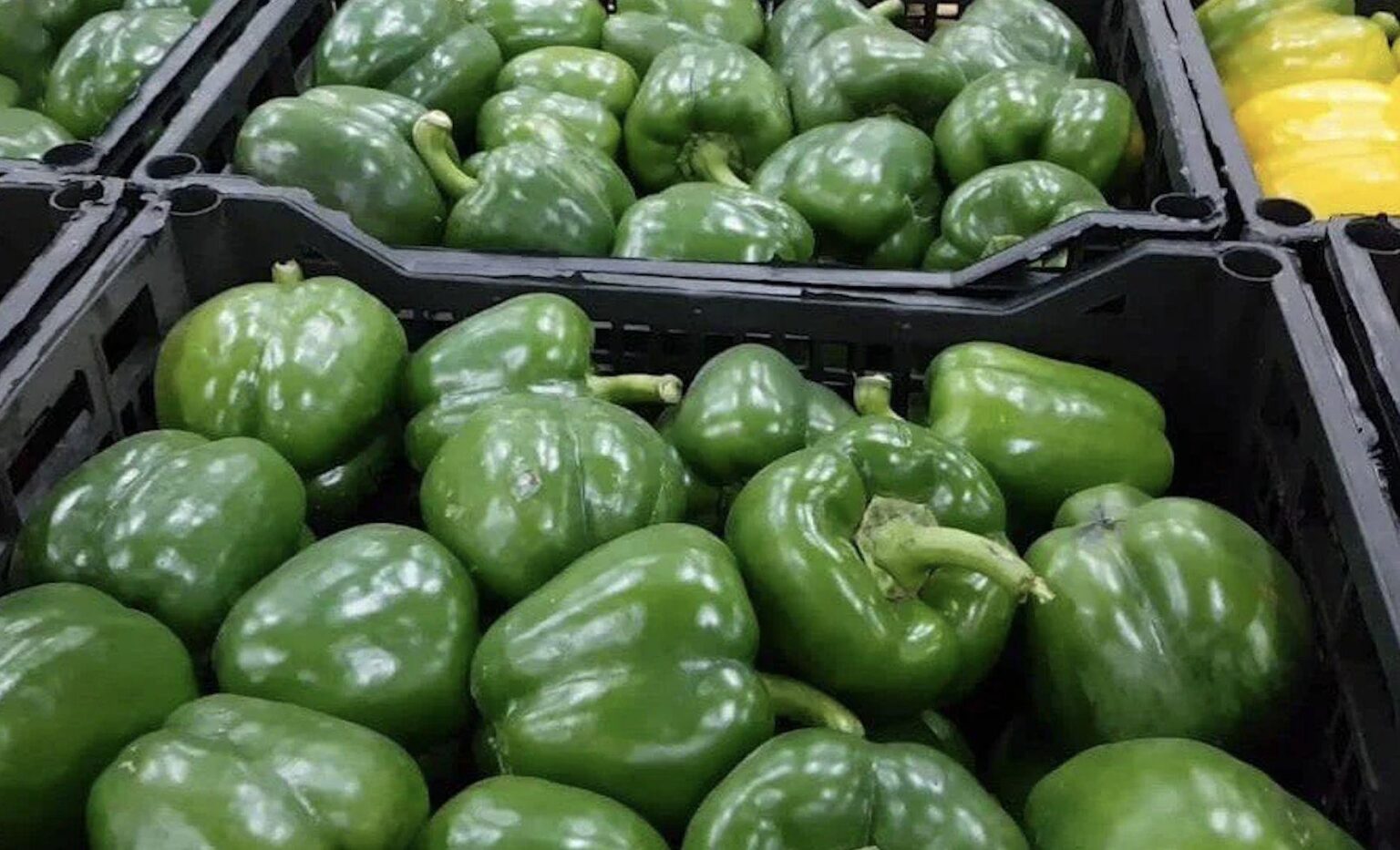 We are being poisoned, we are getting cancer. According to the notification made by RASFF; Formetanate was found at a rate of 70 times the safe limit in fresh peppers intended to be exported from Türkiye to Germany! It was announced that the peppers were detained for destruction at the Bulgarian border.