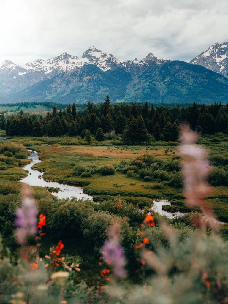 The beautiful Grand Teton