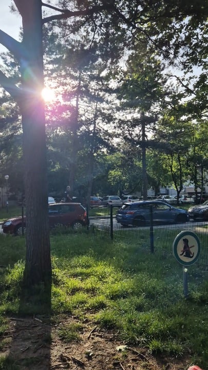 Zagreb - horse on the road! Is this even allowed?
