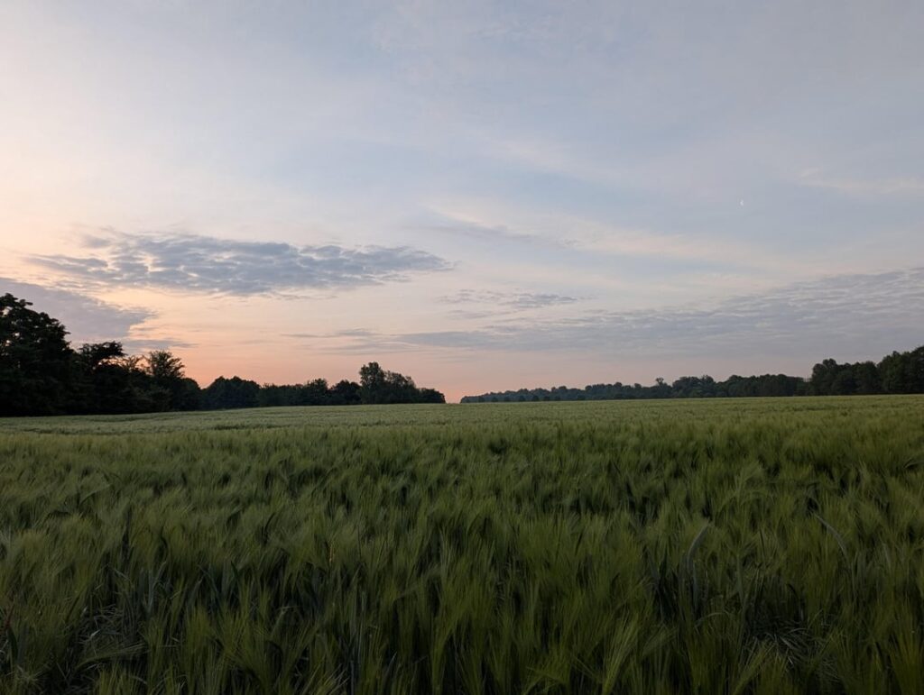 This is how beautiful nature can be around Grevenbroich.