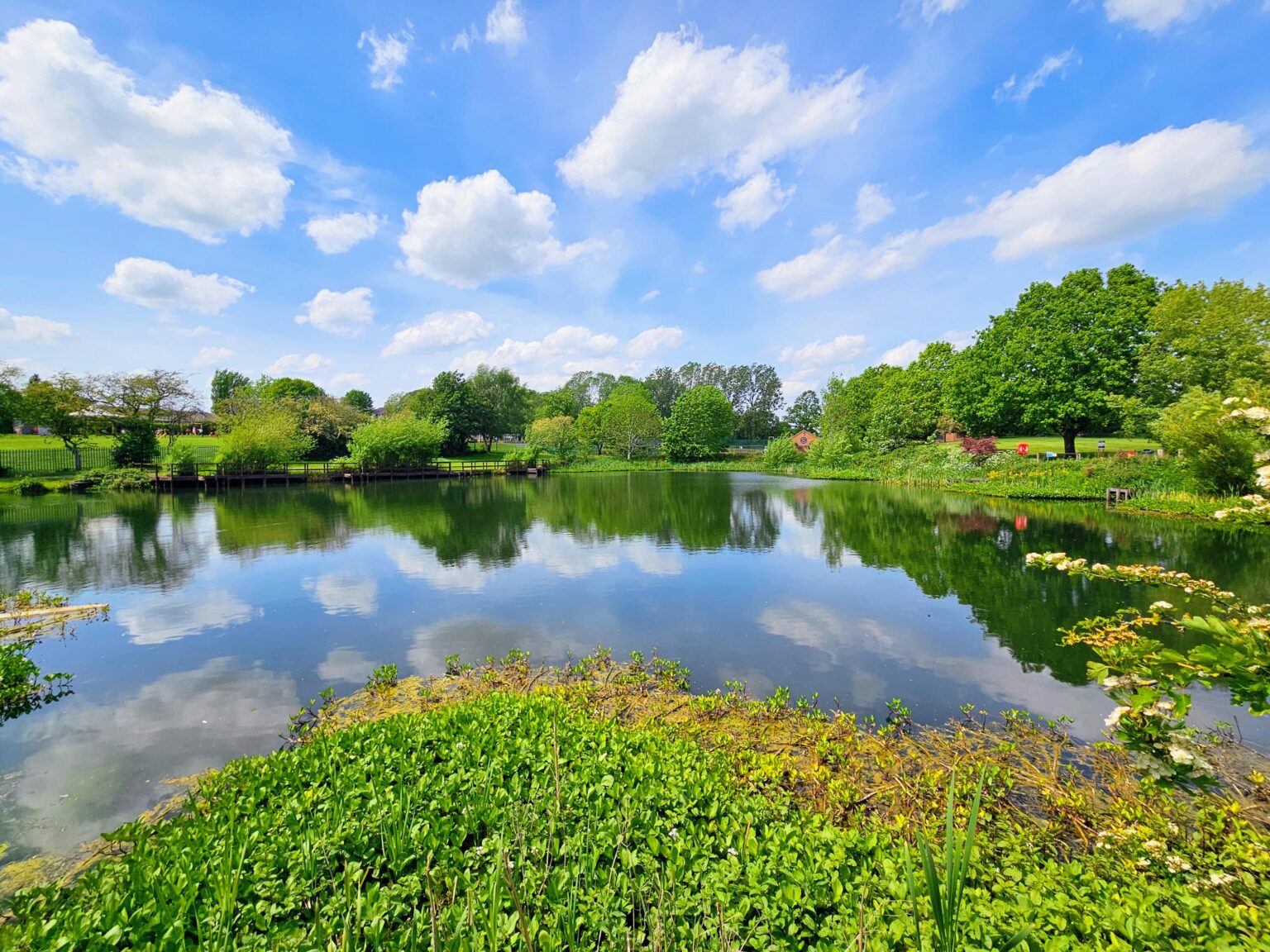 The greenery and the lake create a wonderful display of nature.