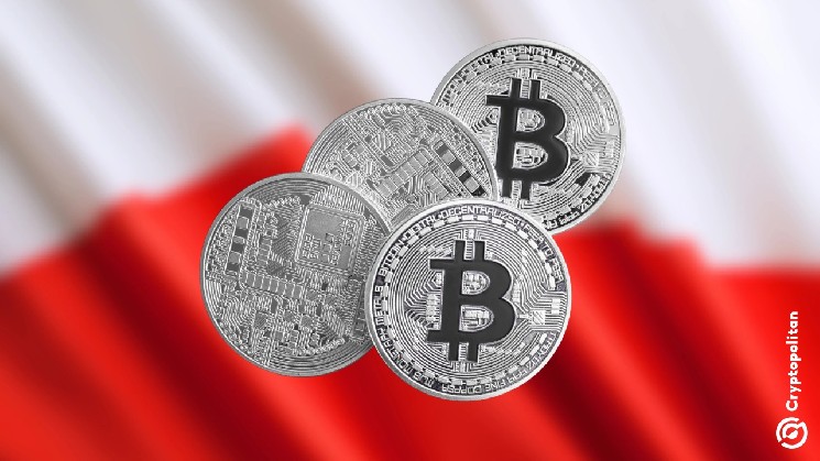BTC tops popularity list among Poland’s 2.5 million crypto holders image