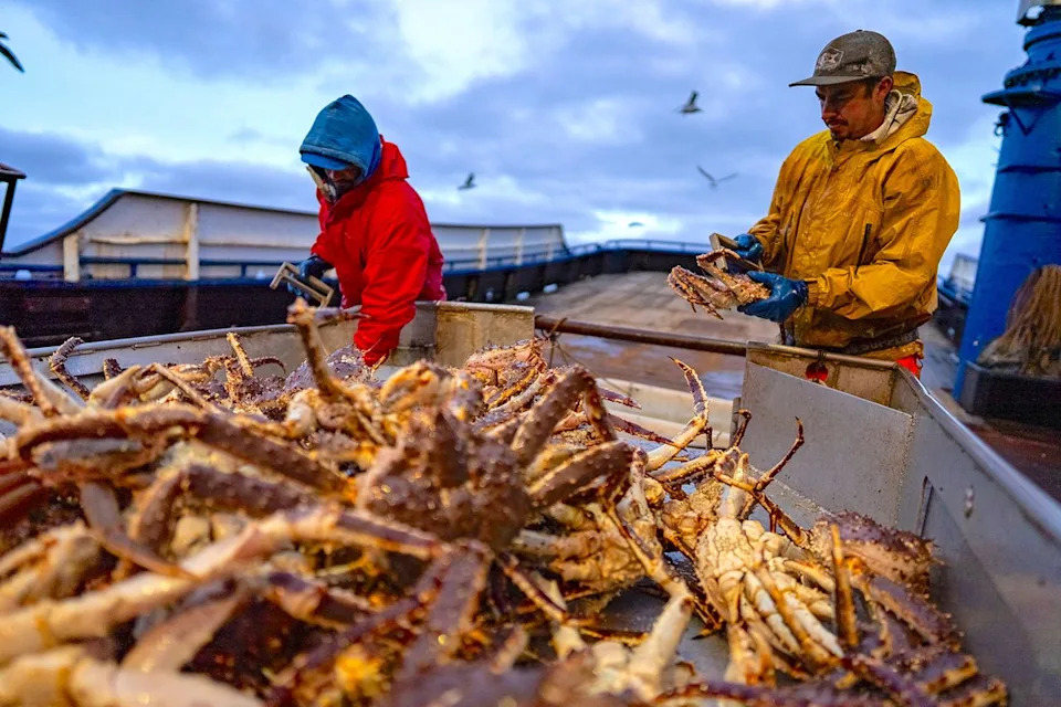 Carl Erickson and Karl Rasmussen in 'Deadliest Catch' season 22Credit: discovery