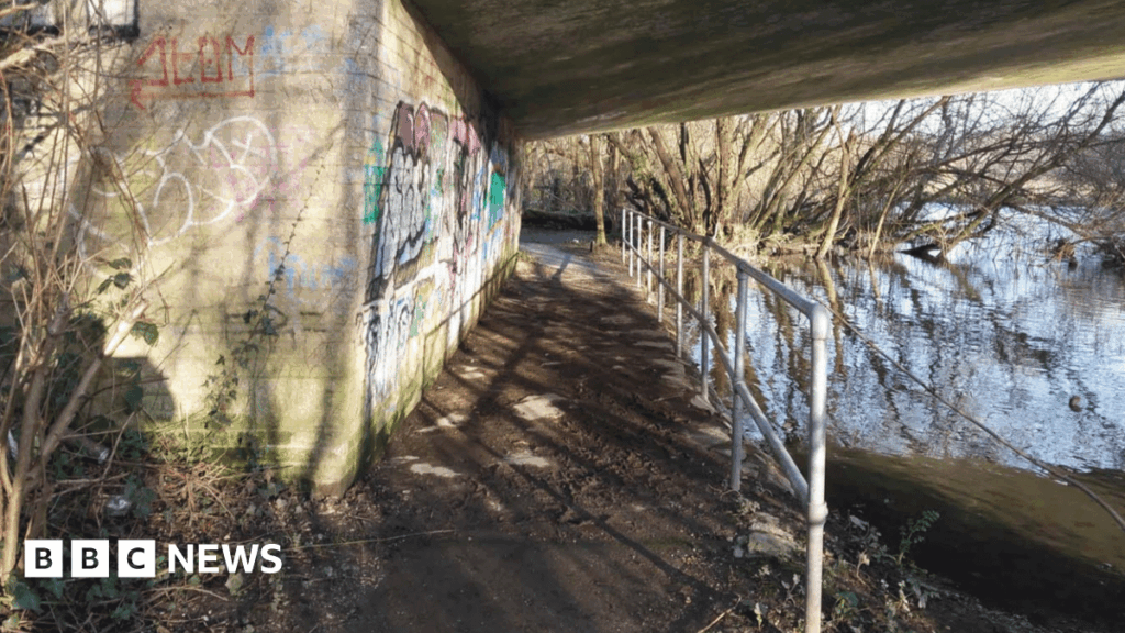 Teenage boys sentenced for raping lone girls in Fordingbridge