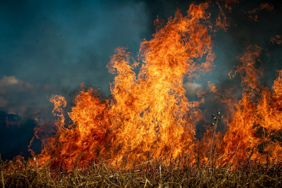 A large forest fire is approaching Belarus from Ukraine A large forest fire is approaching Belarus from Ukraine