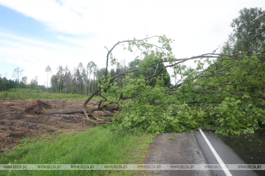 MNS reported what the bad weather had done throughout Belarus