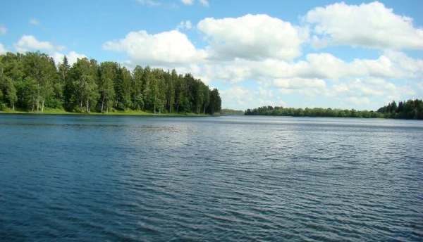 Maybe they caught at least some vendace? The National Armed Forces of Latvia completed the search for the drone in the lake