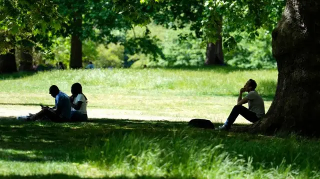 People sat under the tree in shade.