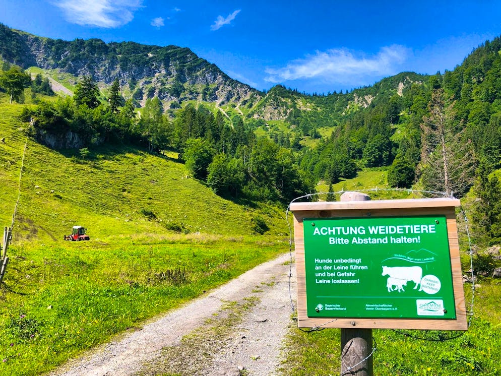 A fatal cow attack has occurred in East Tyrol.