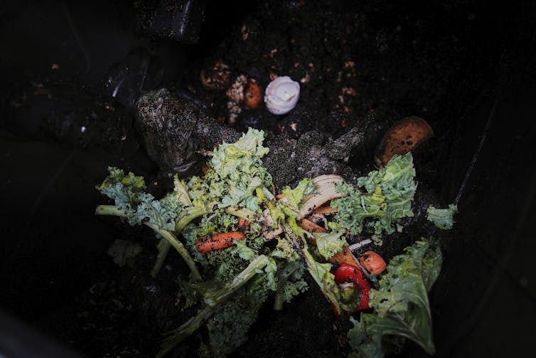 Food scraps sit inside a residential compost bin
