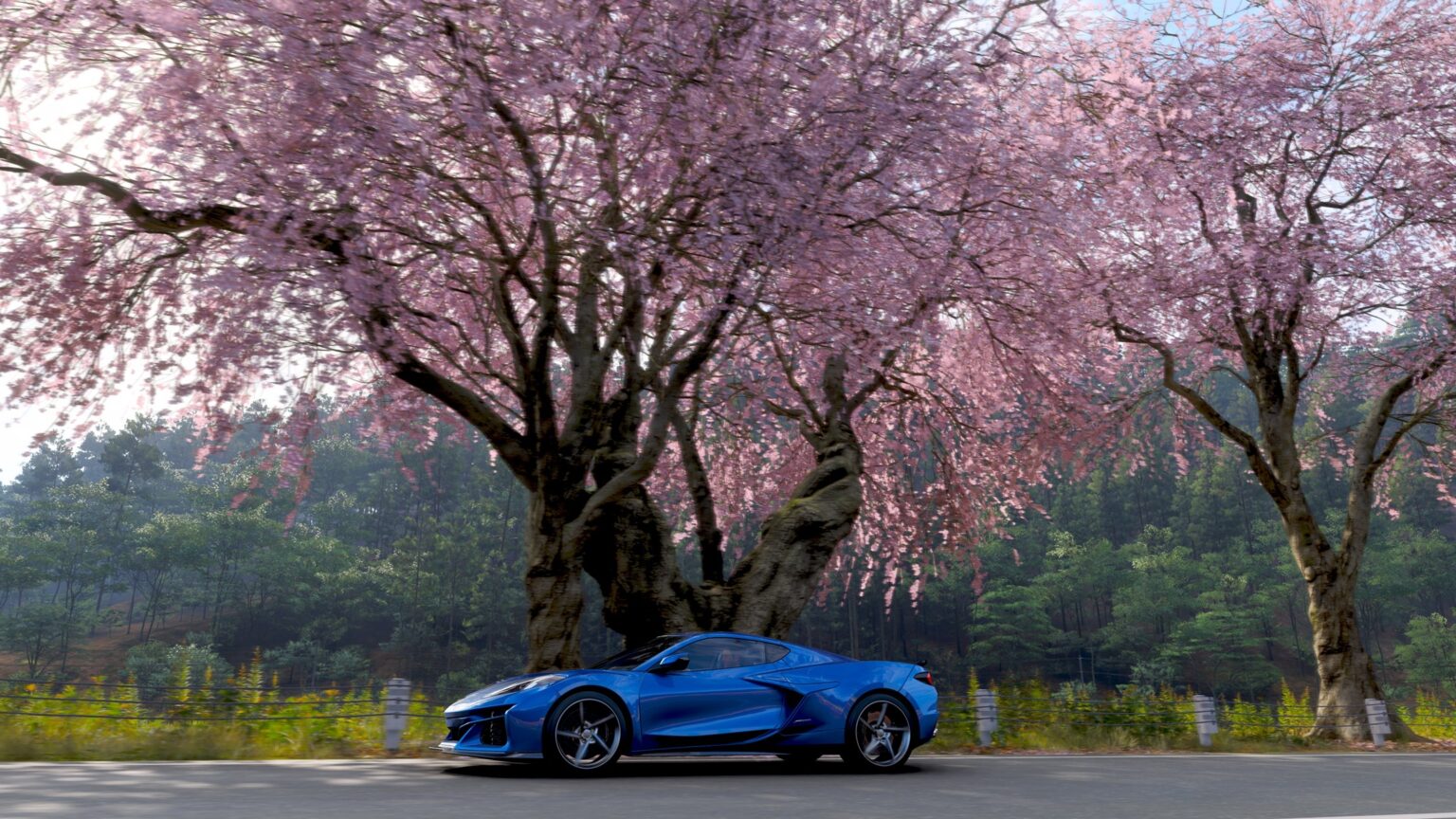 Forza Horizon 6 won’t let you destroy Japan’s cherry blossom trees Forza Horizon 6 won't let you destroy Japan's cherry blossom trees