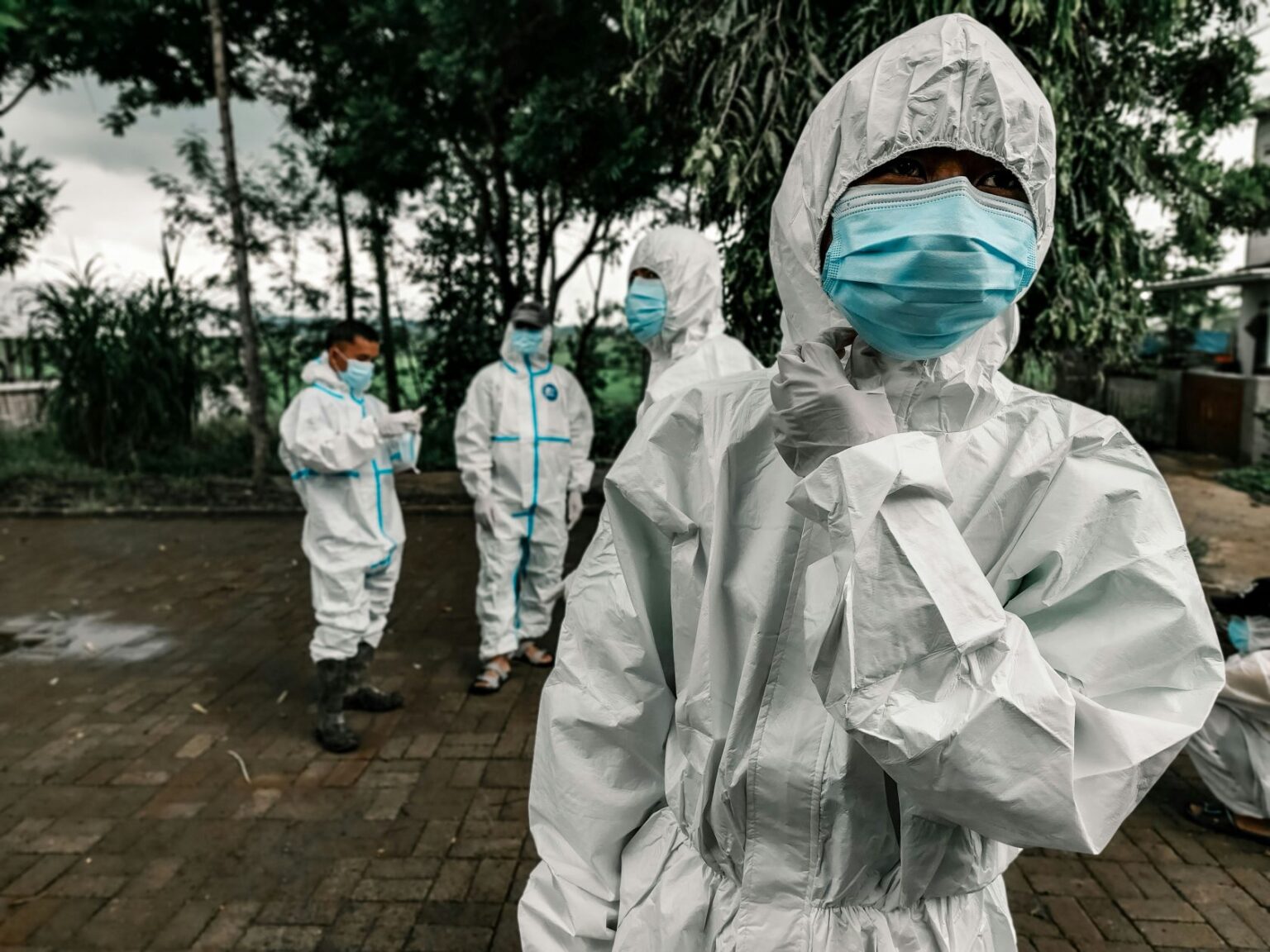 Risk of Ebola outbreak in Portugal is low Risk of Ebola outbreak in Portugal is low
