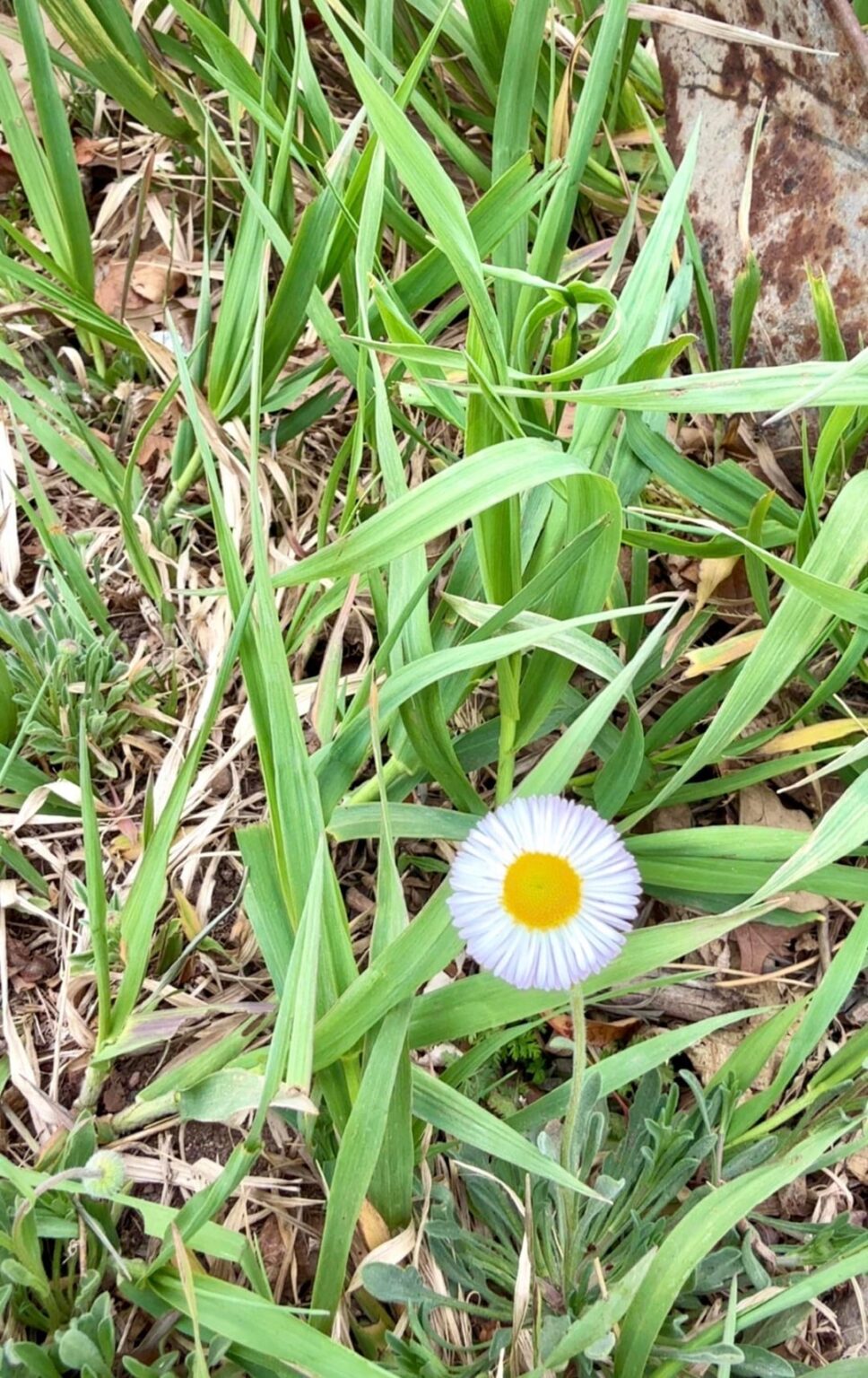 Just some nature shots from a quiet walk