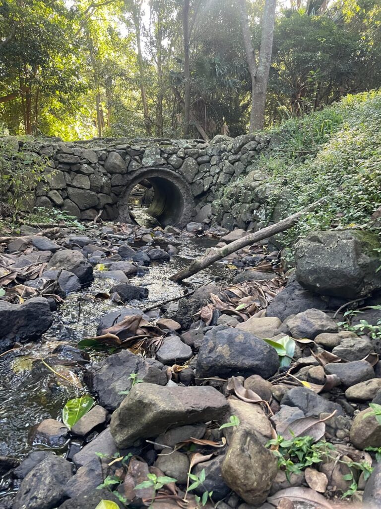 Nature trails are my favourite places—NSW, Australia