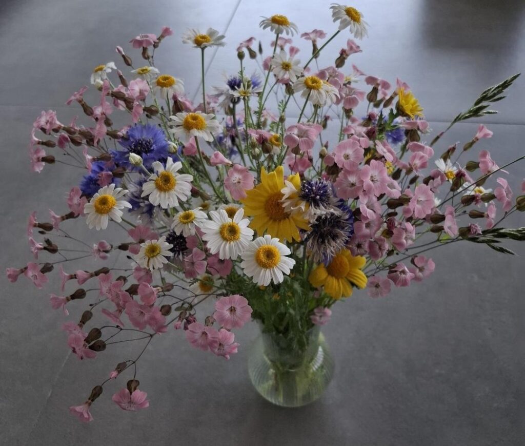 Flowery Friday