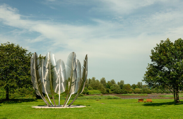 It doesn’t matter why the Choctaw word for Irish is Ailish: it just matters that we remember It doesn't matter why the Choctaw word for Irish is Ailish: it just matters that we remember