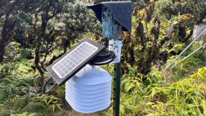 trail camera on Mount Kaala