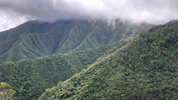 Mountain with fog