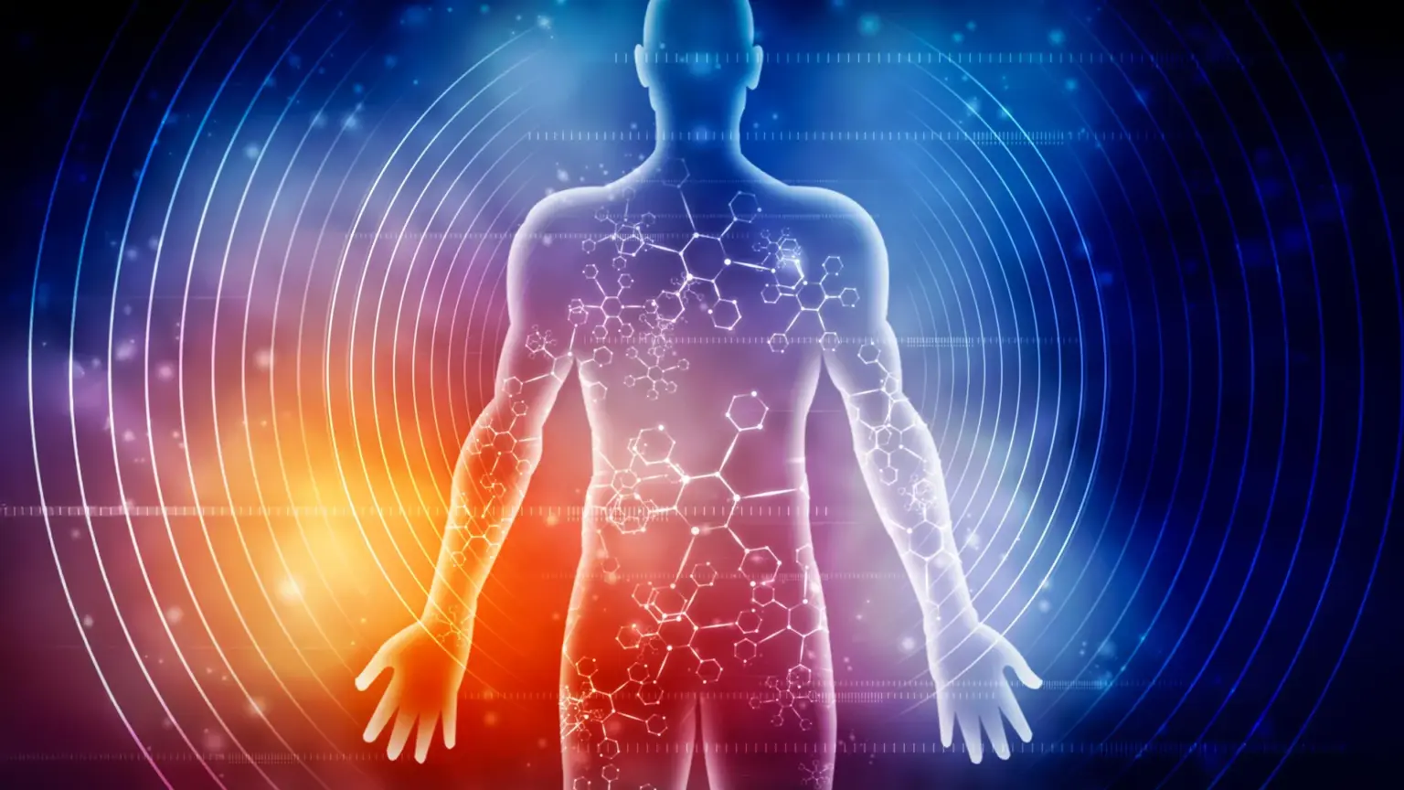 Scientists reveal how seven days of fasting transforms the human body Scientists reveal how seven days of fasting transforms the human body