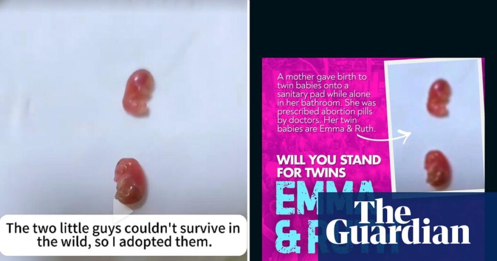 Image of ‘twin babies’ used by anti-abortion activist appears to show sugar gliders | Guardian Australia
