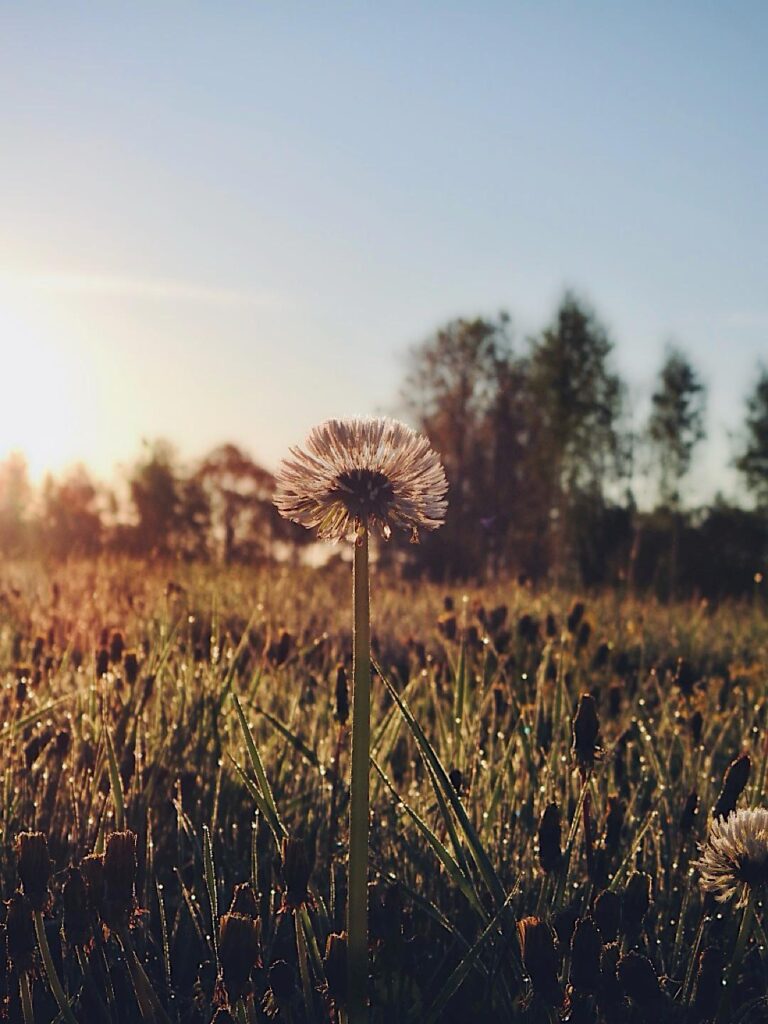 Something positive this week vol10
